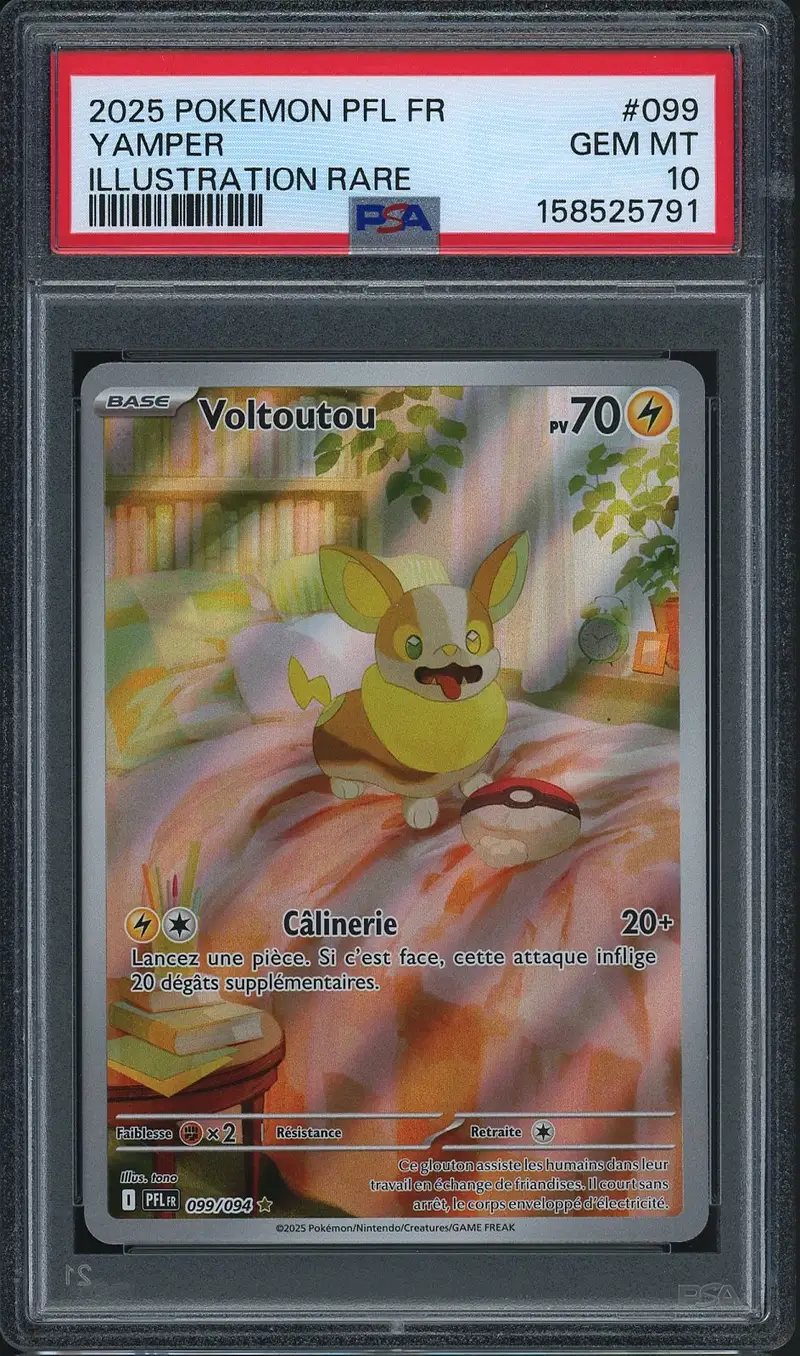 PSA 10 Voltoutou