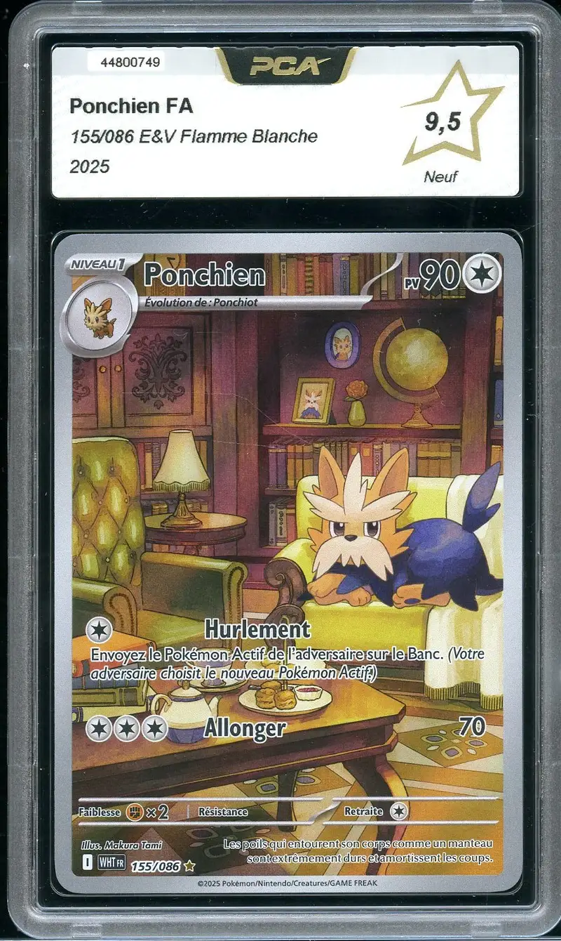 PCA 9.5 Ponchien