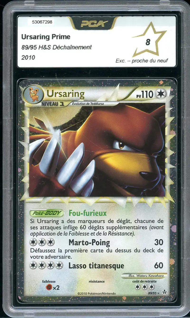 PCA 8 Ursaring Prime