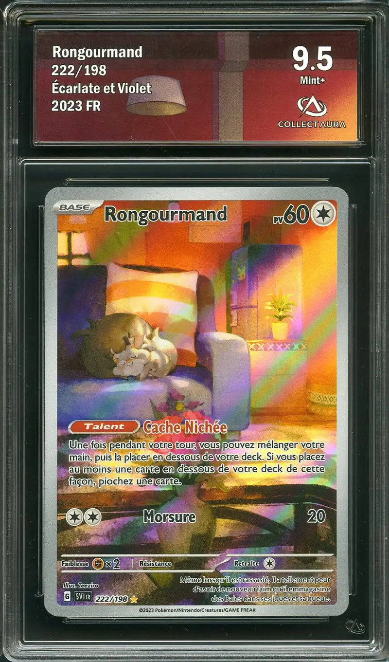 CA 9.5 Rongourmand
