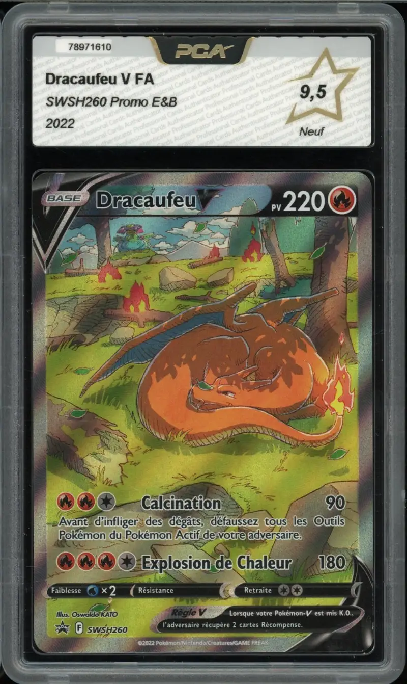 PCA 9.5 Dracaufeu V