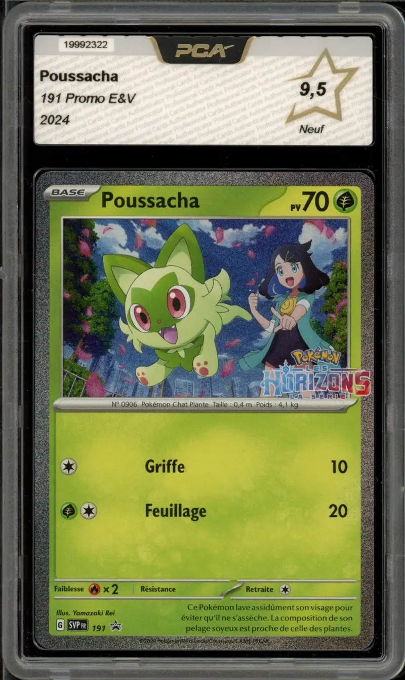 PCA 9.5 Poussacha