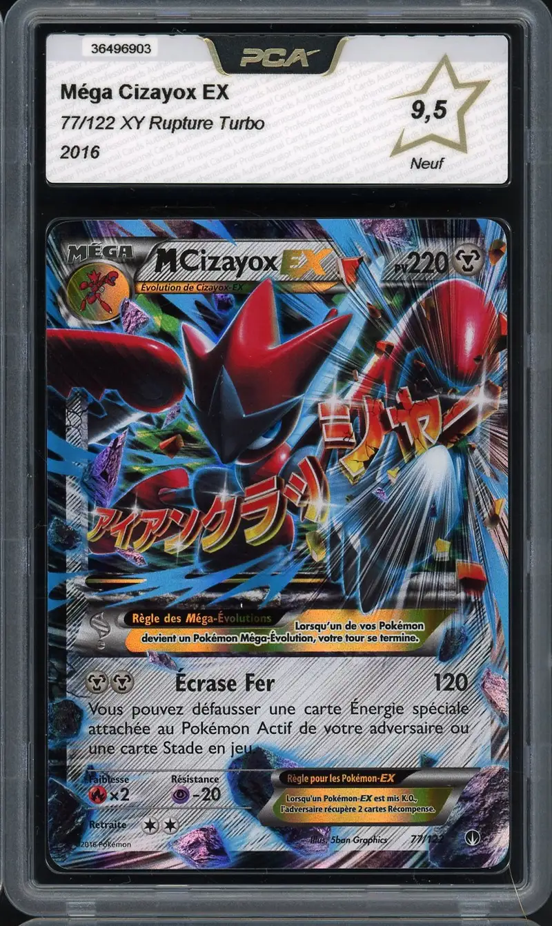 PCA 9.5 Méga Cizayox Ex