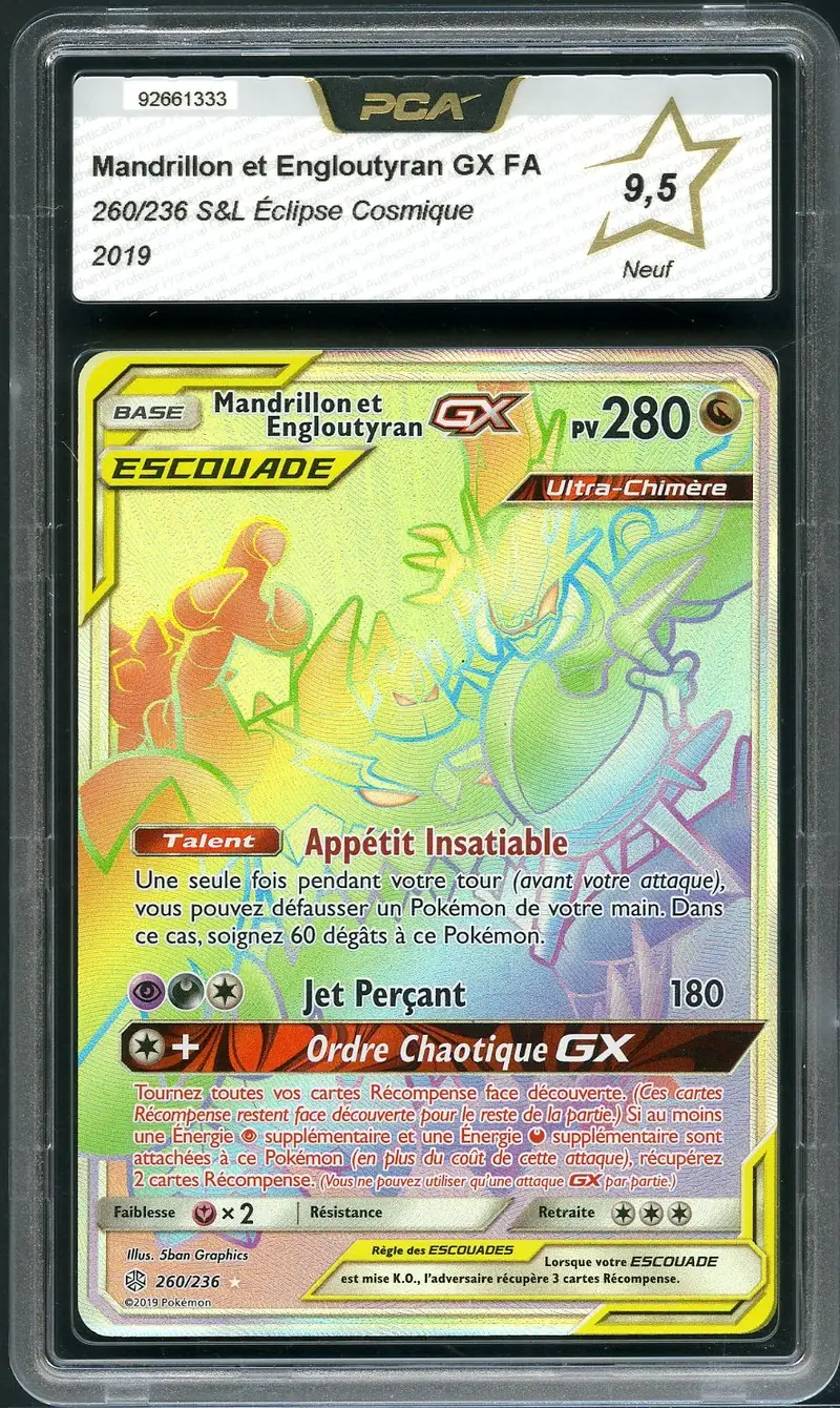 PCA 9.5 Mandrillon et Engloutyran Gx Rainbow