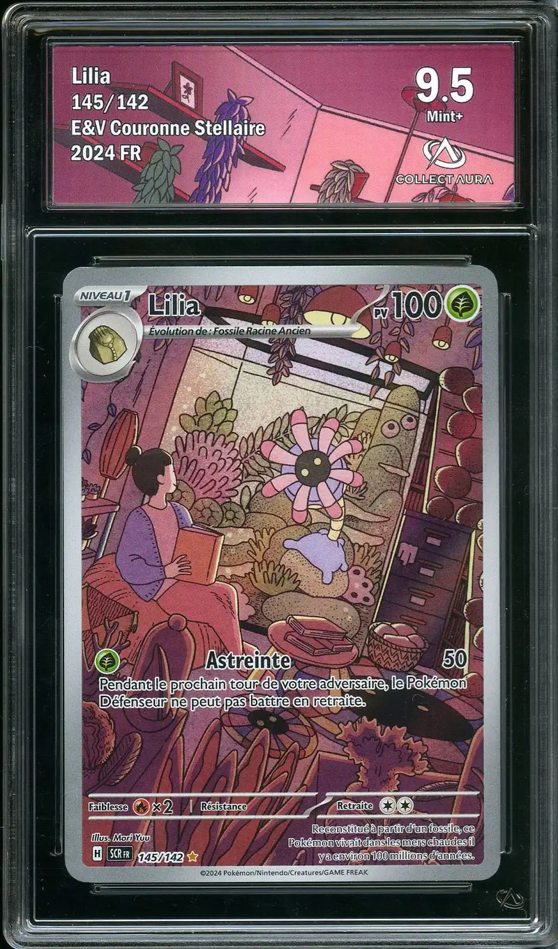 CA 9.5 Lilia