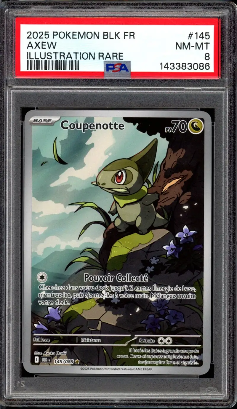 PSA 8 Coupenotte