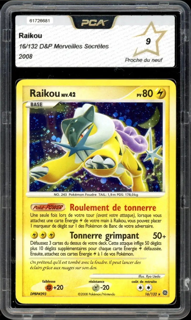 PCA 9 Raikou Holo