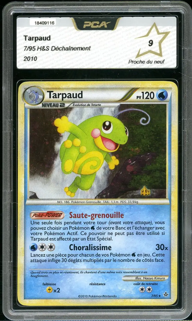 PCA 9 Tarpaud Holo