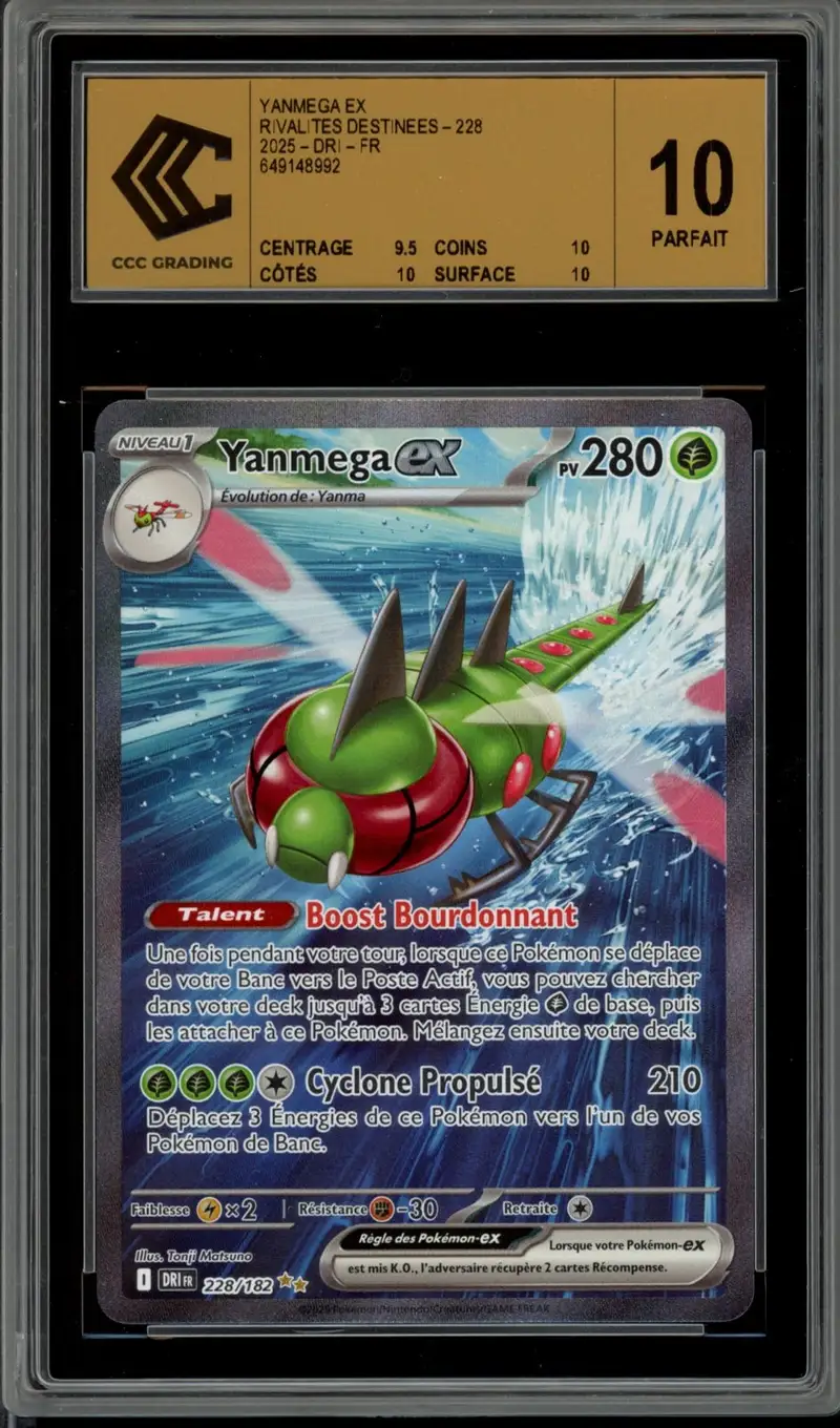 CCC 10 Yanmega Ex