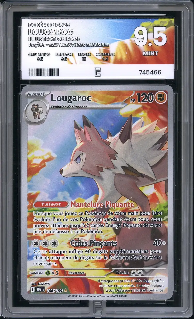 PG 9.5 Lougaroc