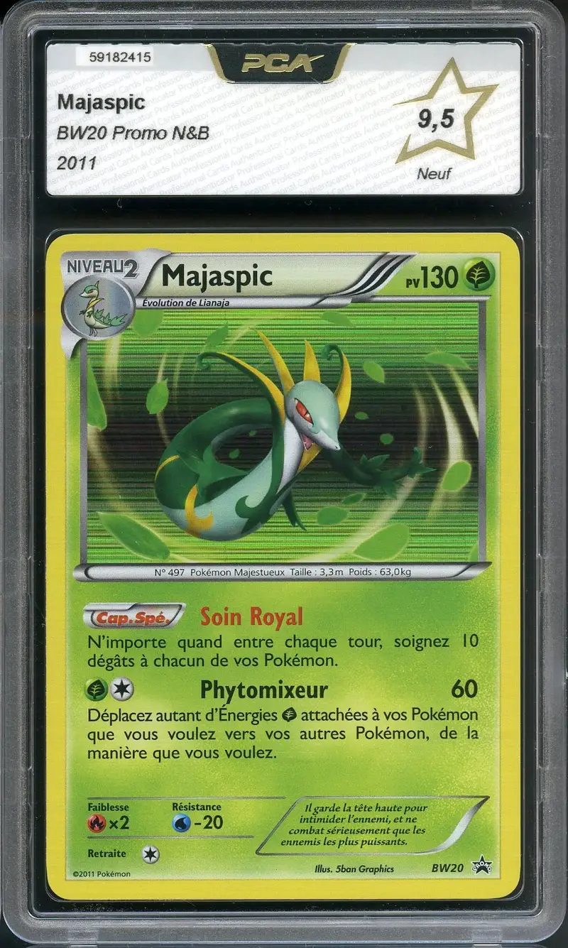 PCA 9.5 Majaspic Holo