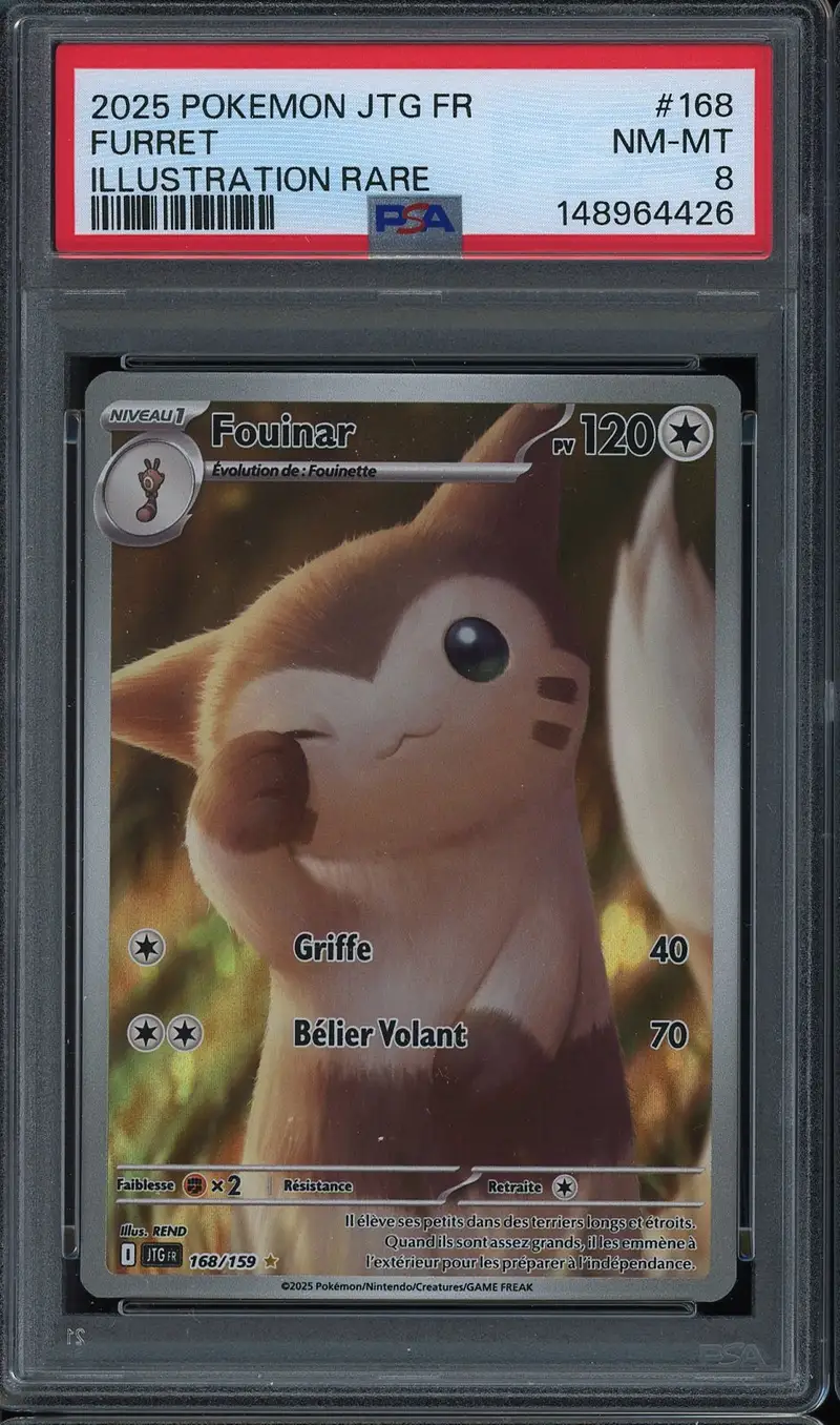 PSA 8 Fouinar