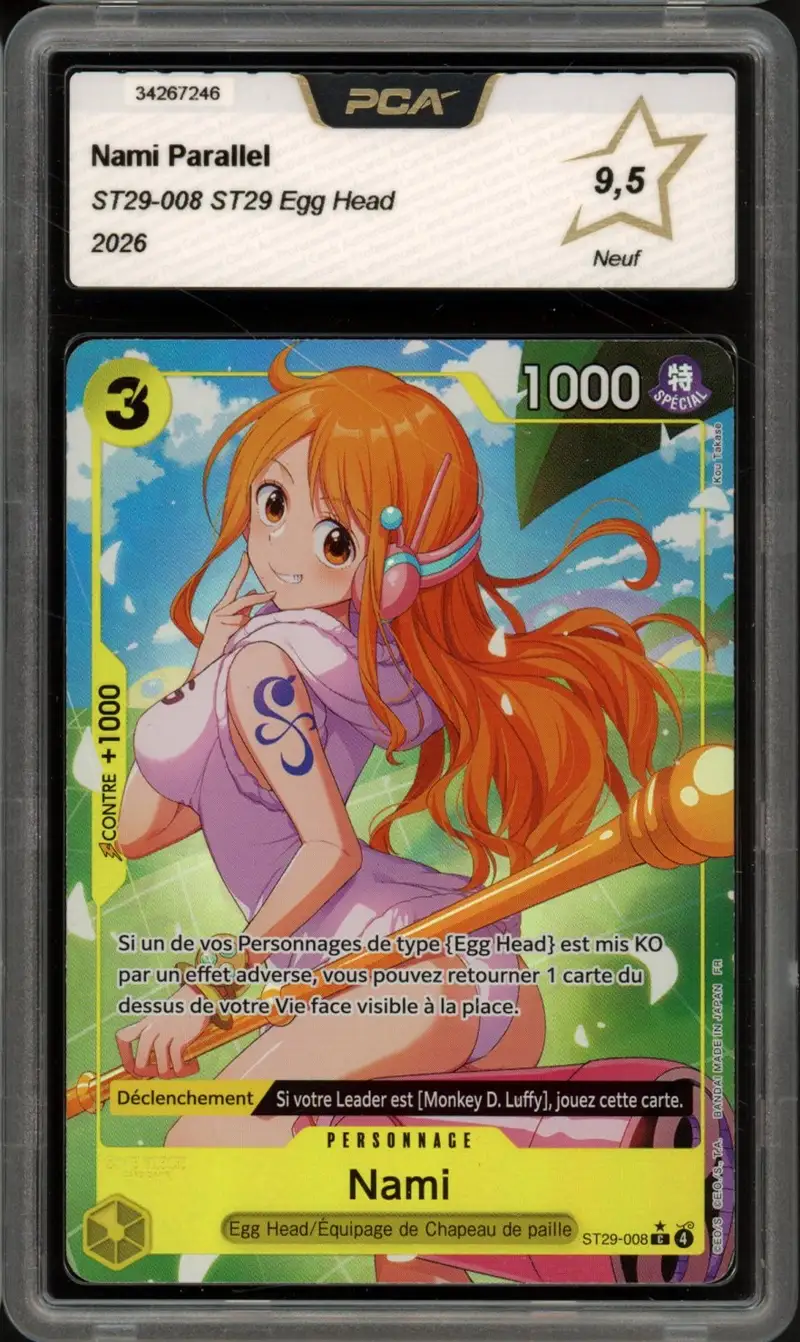 PCA 9.5 Nami