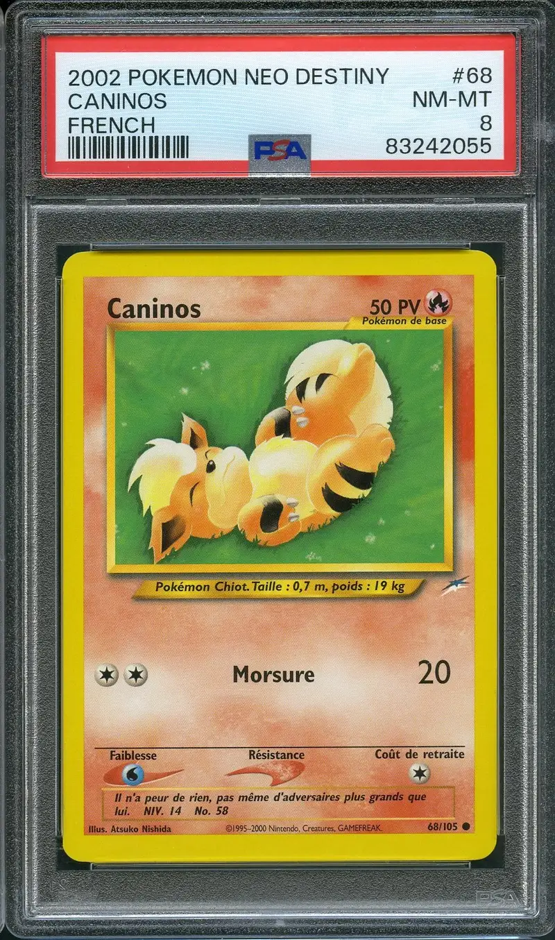 PSA 8 Caninos