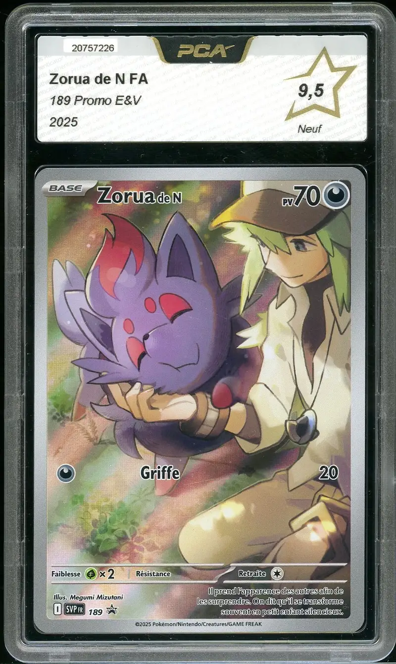 PCA 9.5 Zorua de N