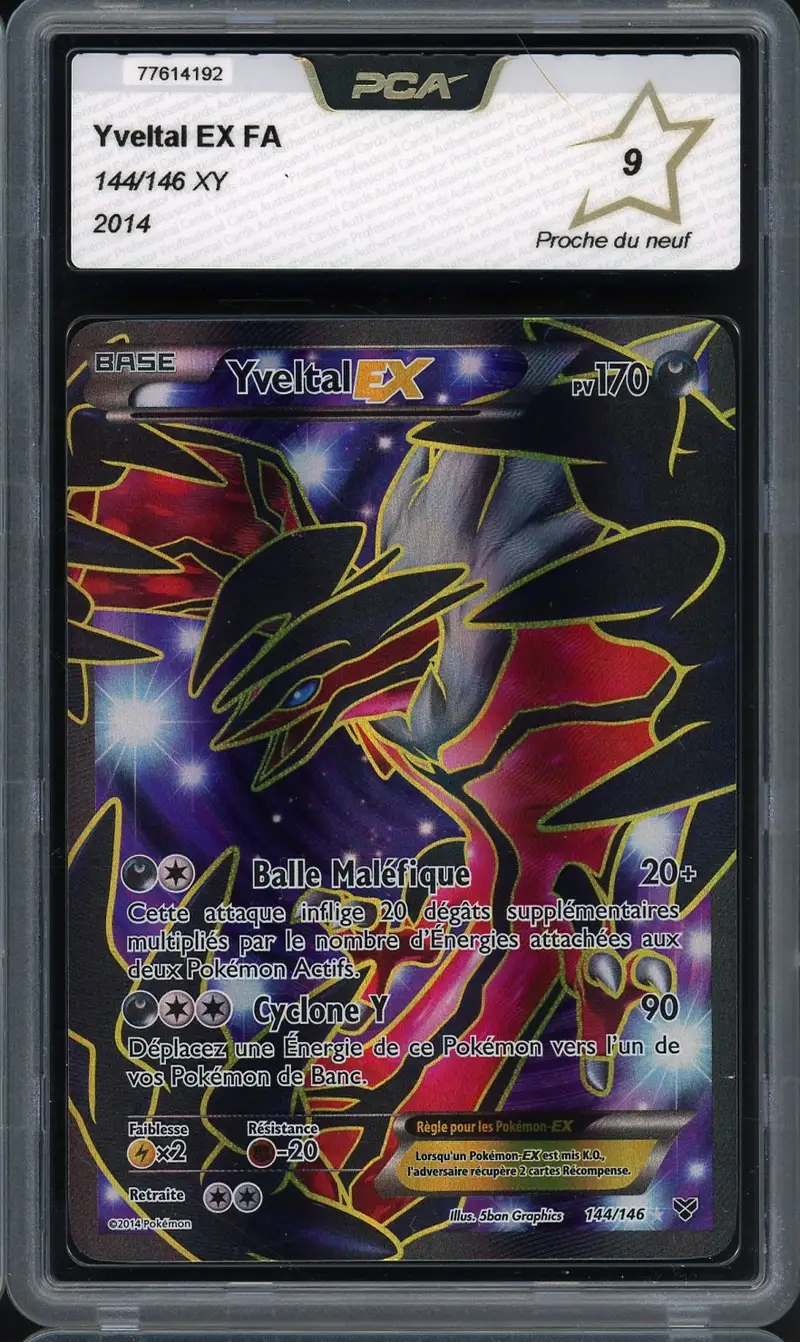 PCA 9 Yveltal Ex