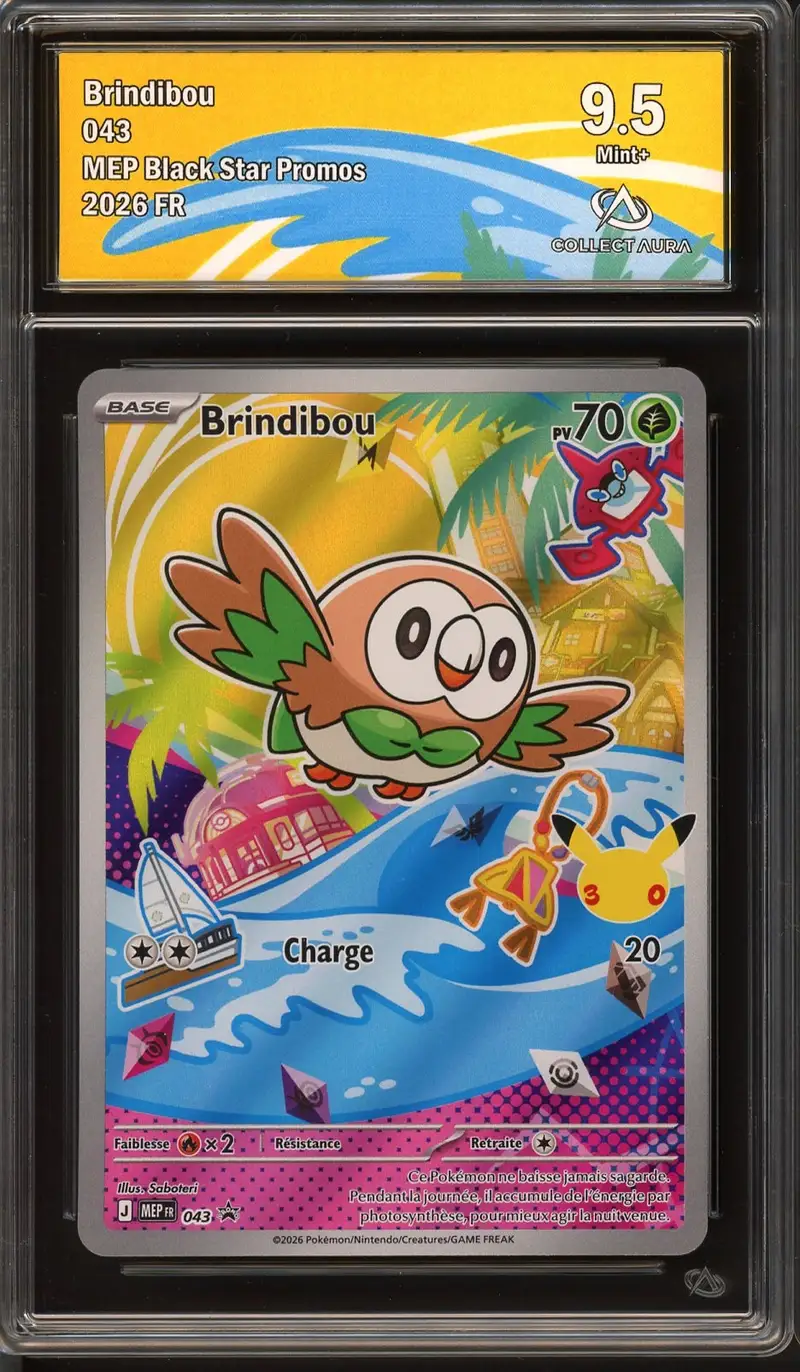 CA 9.5 Brindibou