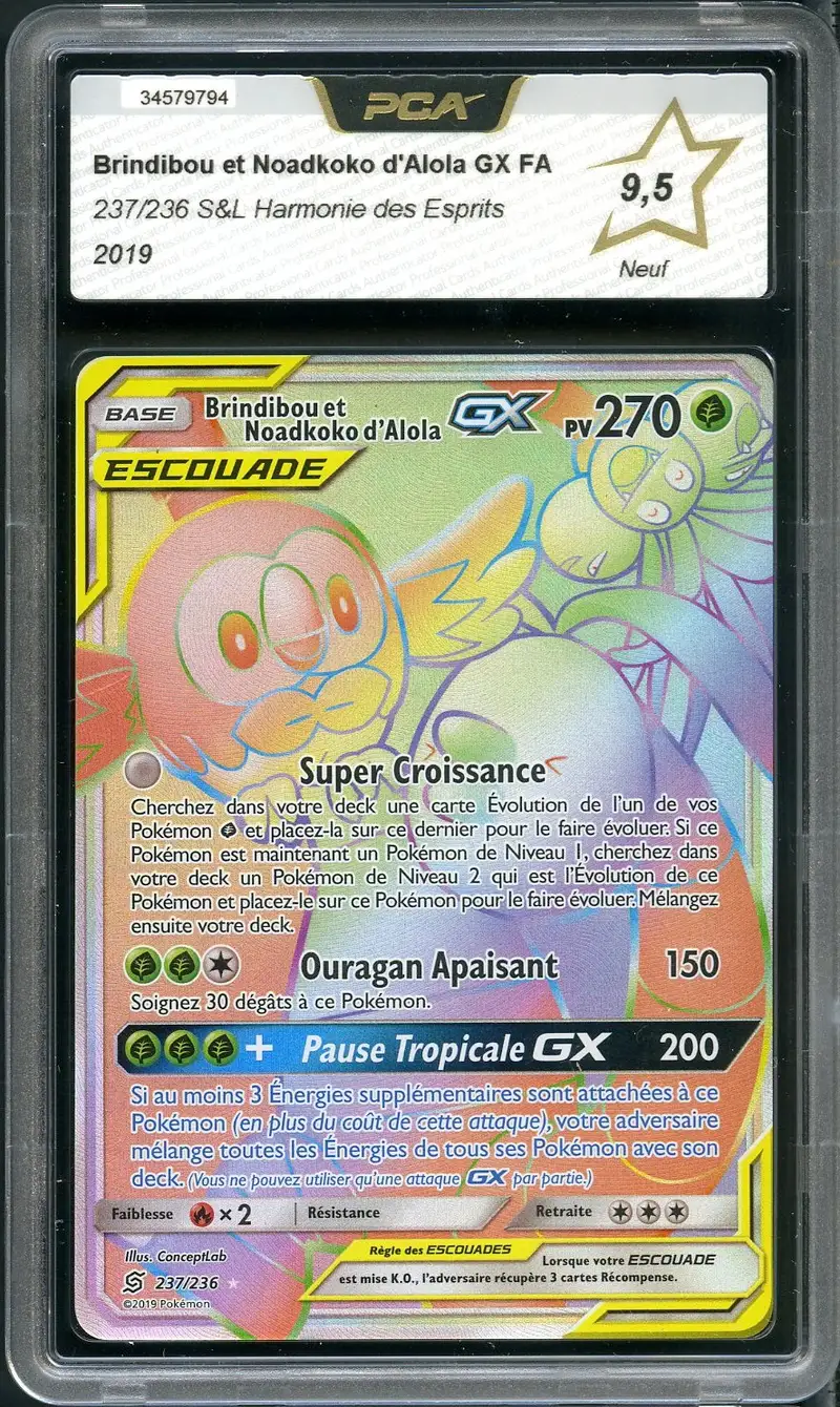 PCA 9.5 Brindibou et Noadkoko d’Alola Gx Rainbow