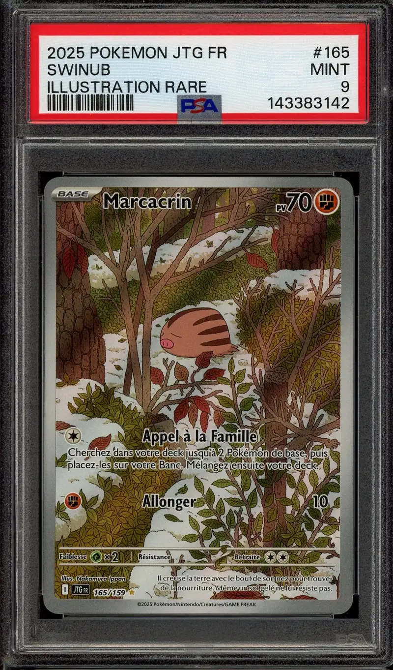 PSA 9 Marcacrin