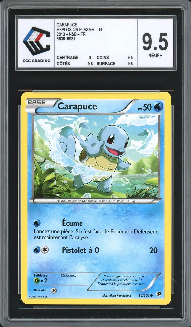 CCC 9.5 Carapuce