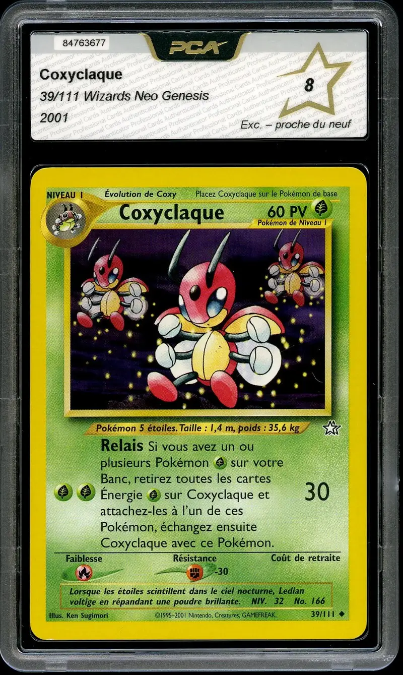 PCA 8 Coxyclaque