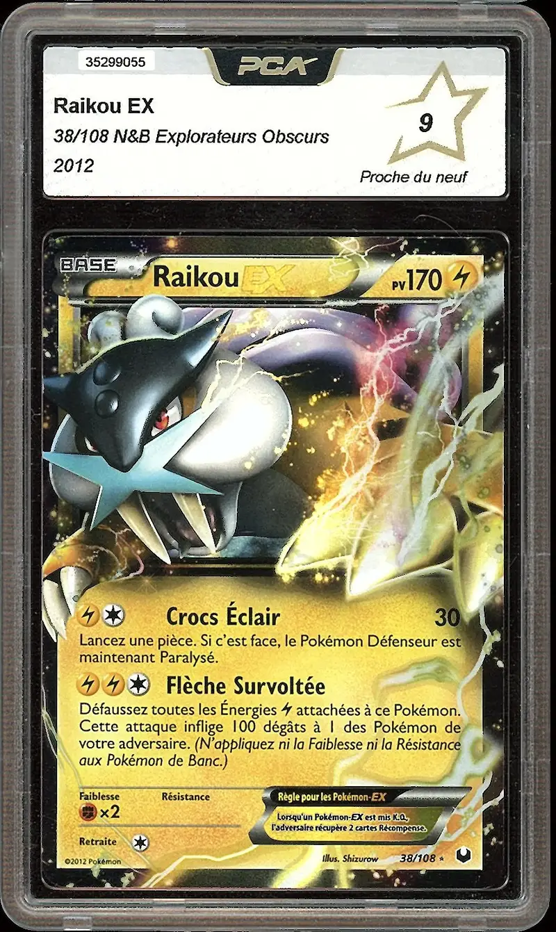 PCA 9 Raikou Ex