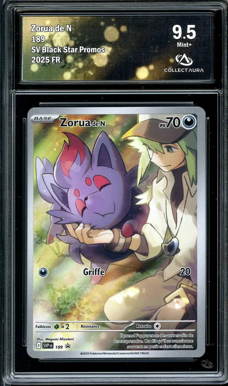 CA 9.5 Zorua de N