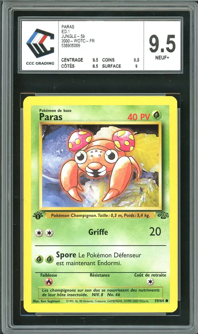 CCC 9.5 Paras