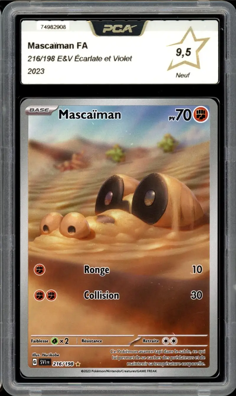PCA 9.5 Mascaïman