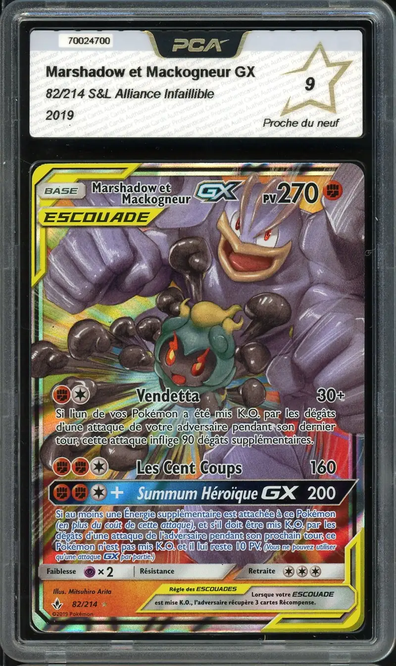 PCA 9 Marshadow et Mackogneur Gx