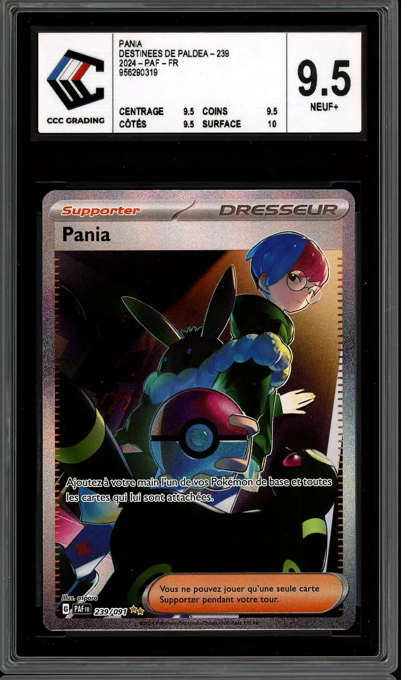 CCC 9.5 Pania