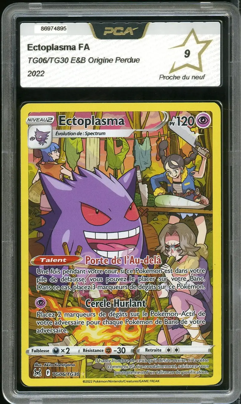 PCA 9 Ectoplasma