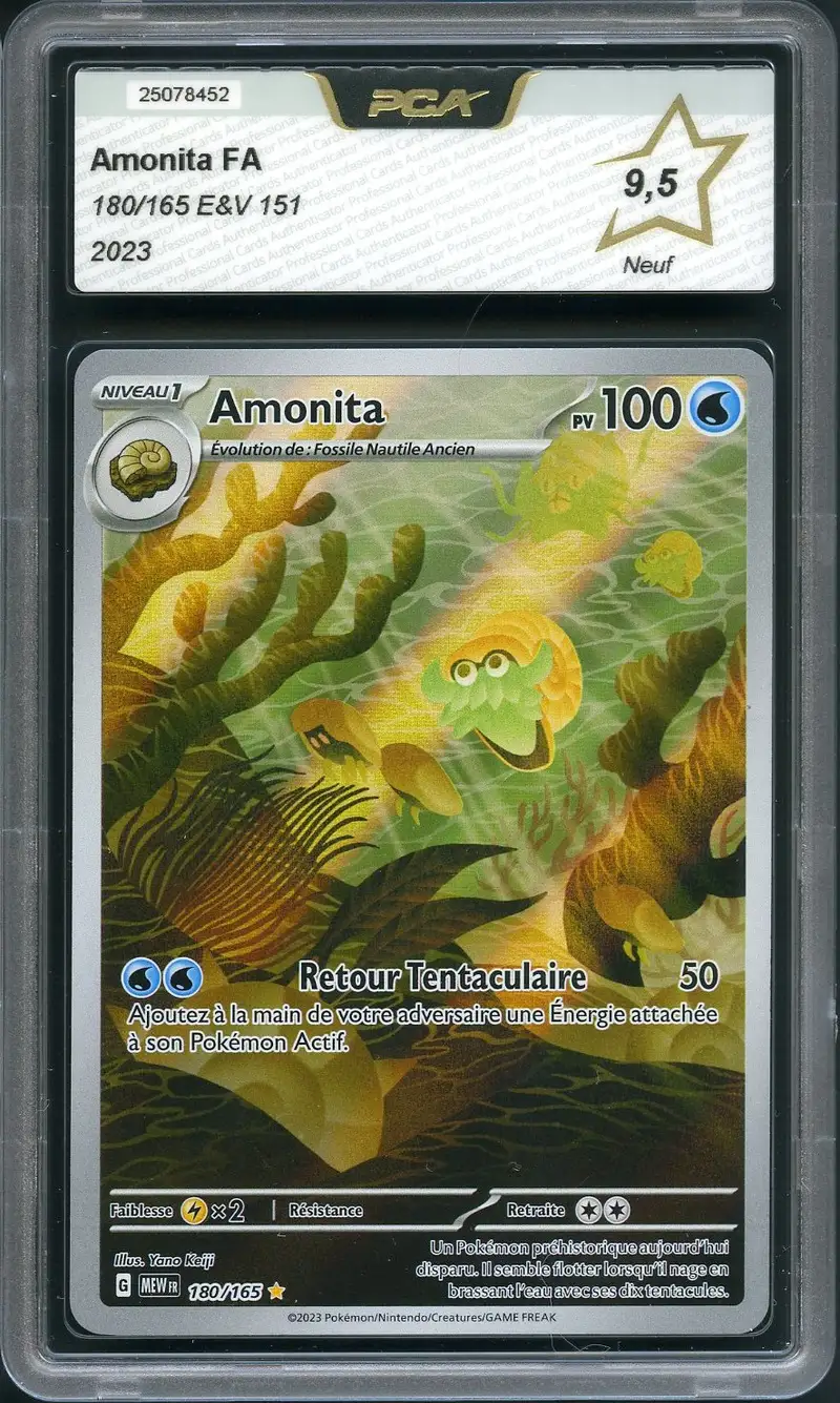 PCA 9.5 Amonita