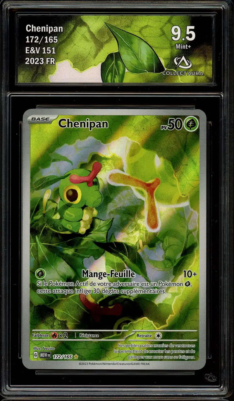 CA 9.5 Chenipan