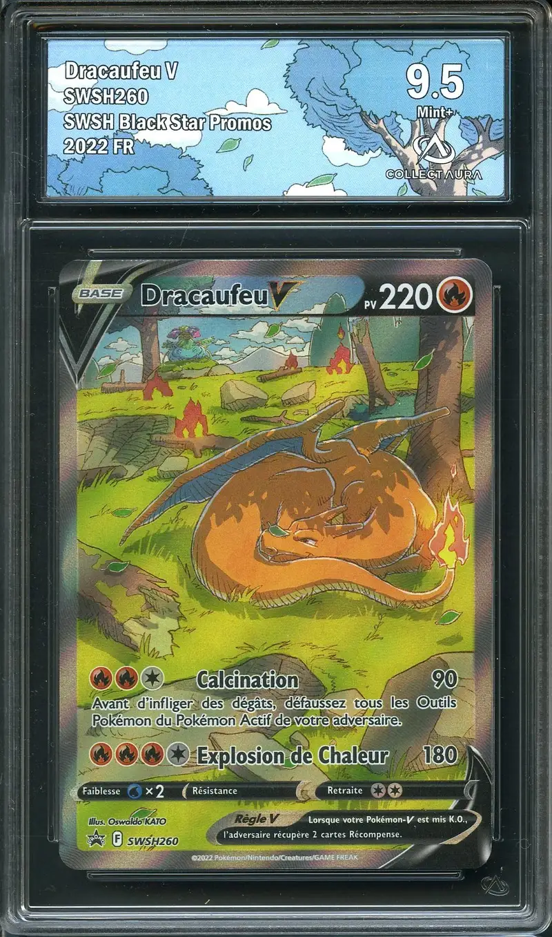 CA 9.5 Dracaufeu V