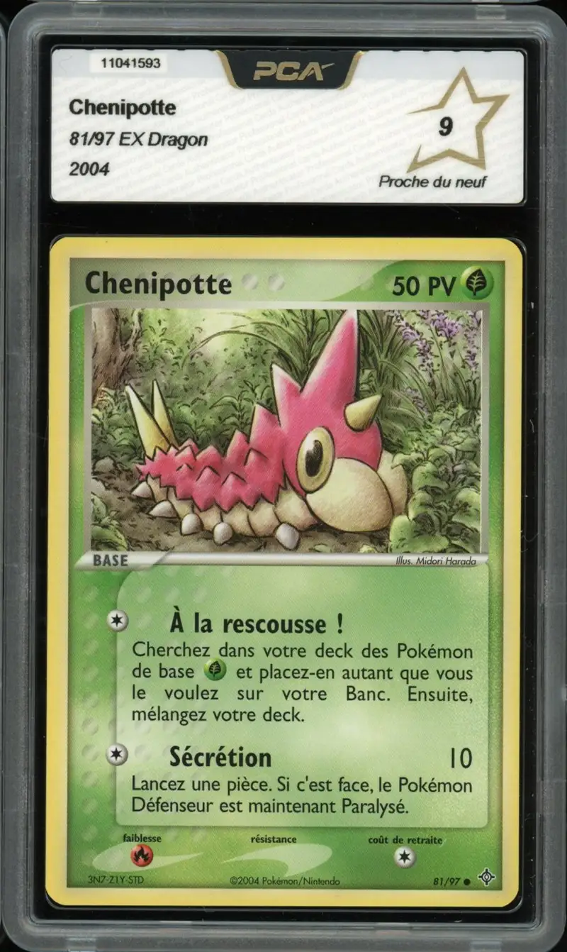PCA 9 Chenipotte