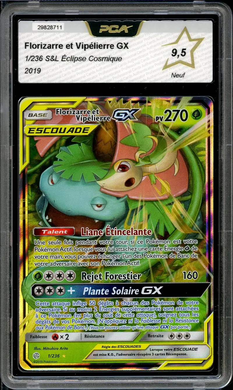 PCA 9.5 Florizarre et Vipélierre Gx