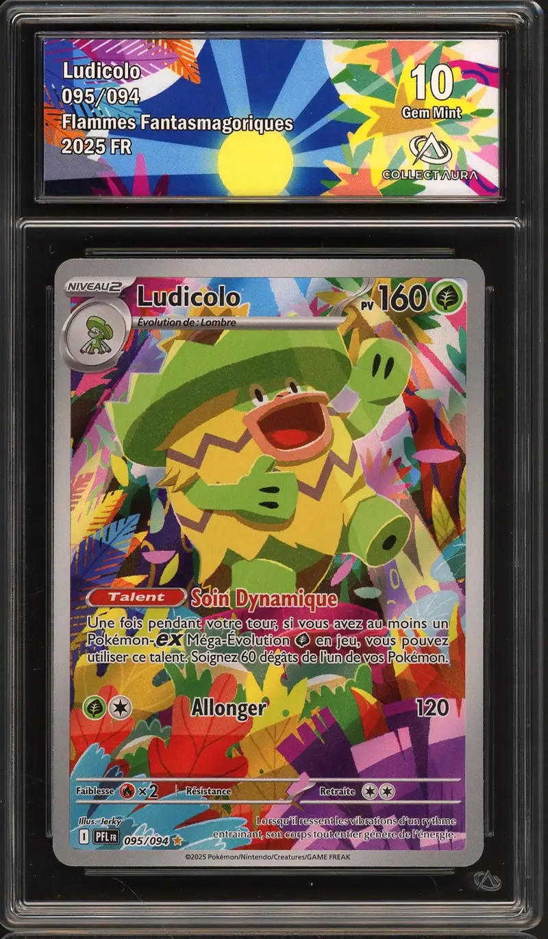 CA 10 Ludicolo