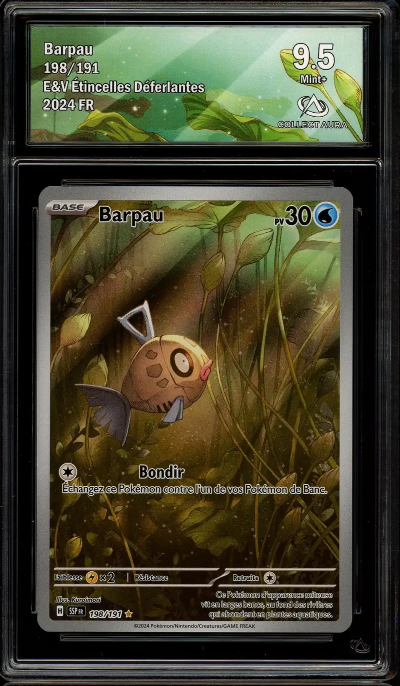 CA 9.5 Barpau