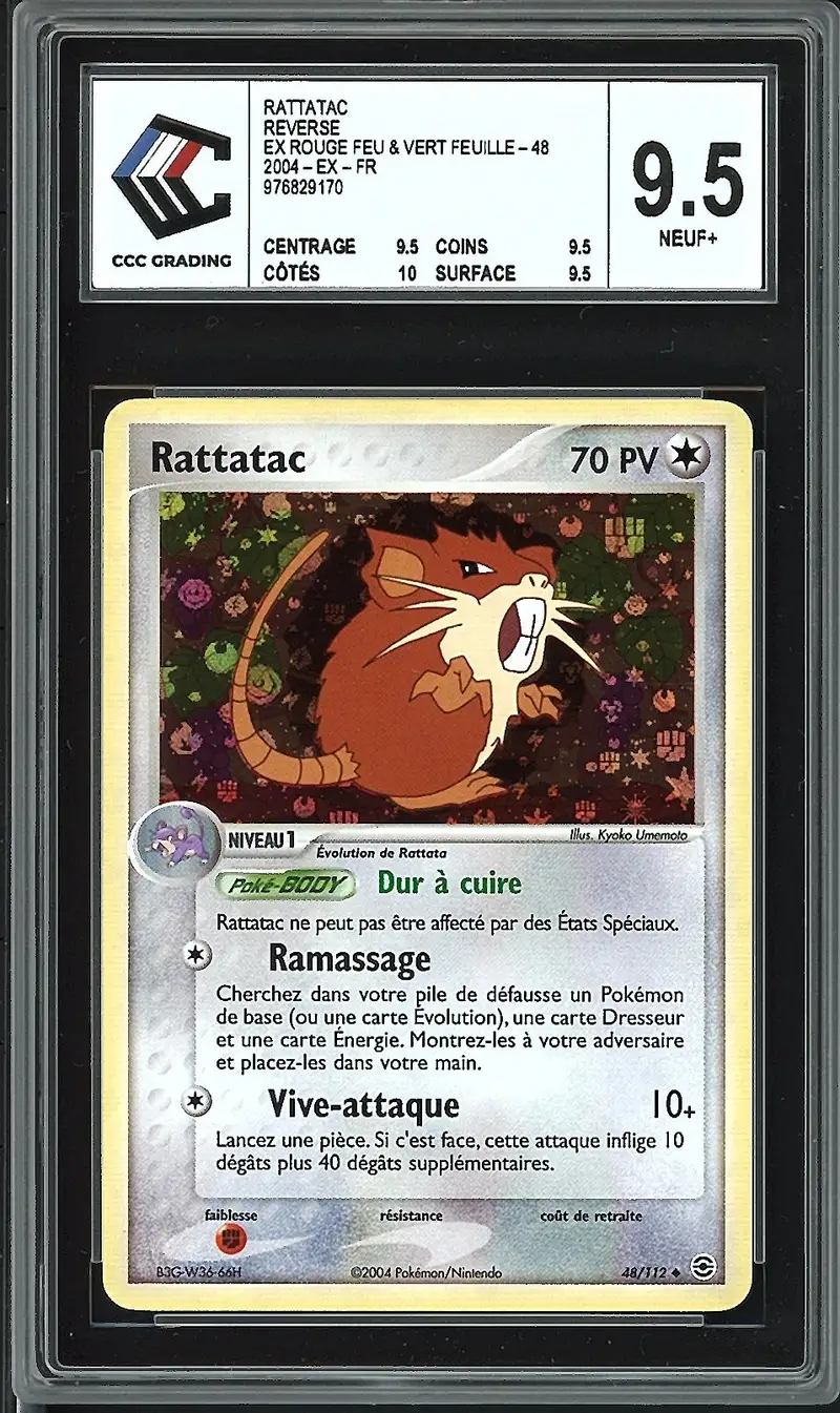 CCC 9.5 Rattatac Reverse