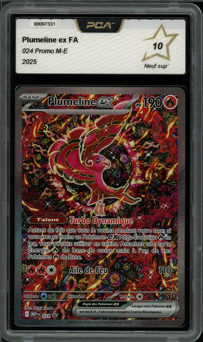PCA 10 Plumeline Ex