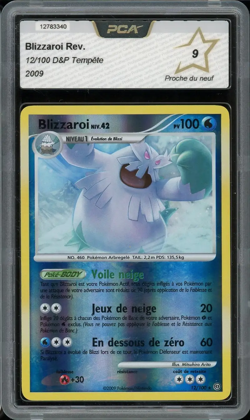 PCA 9 Blizzaroi Reverse