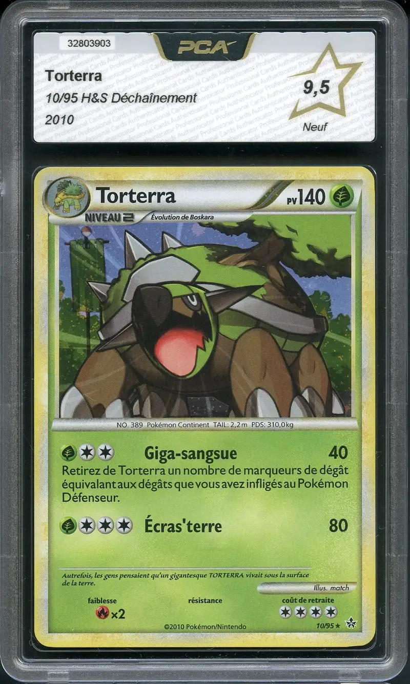 PCA 9.5 Torterra Holo