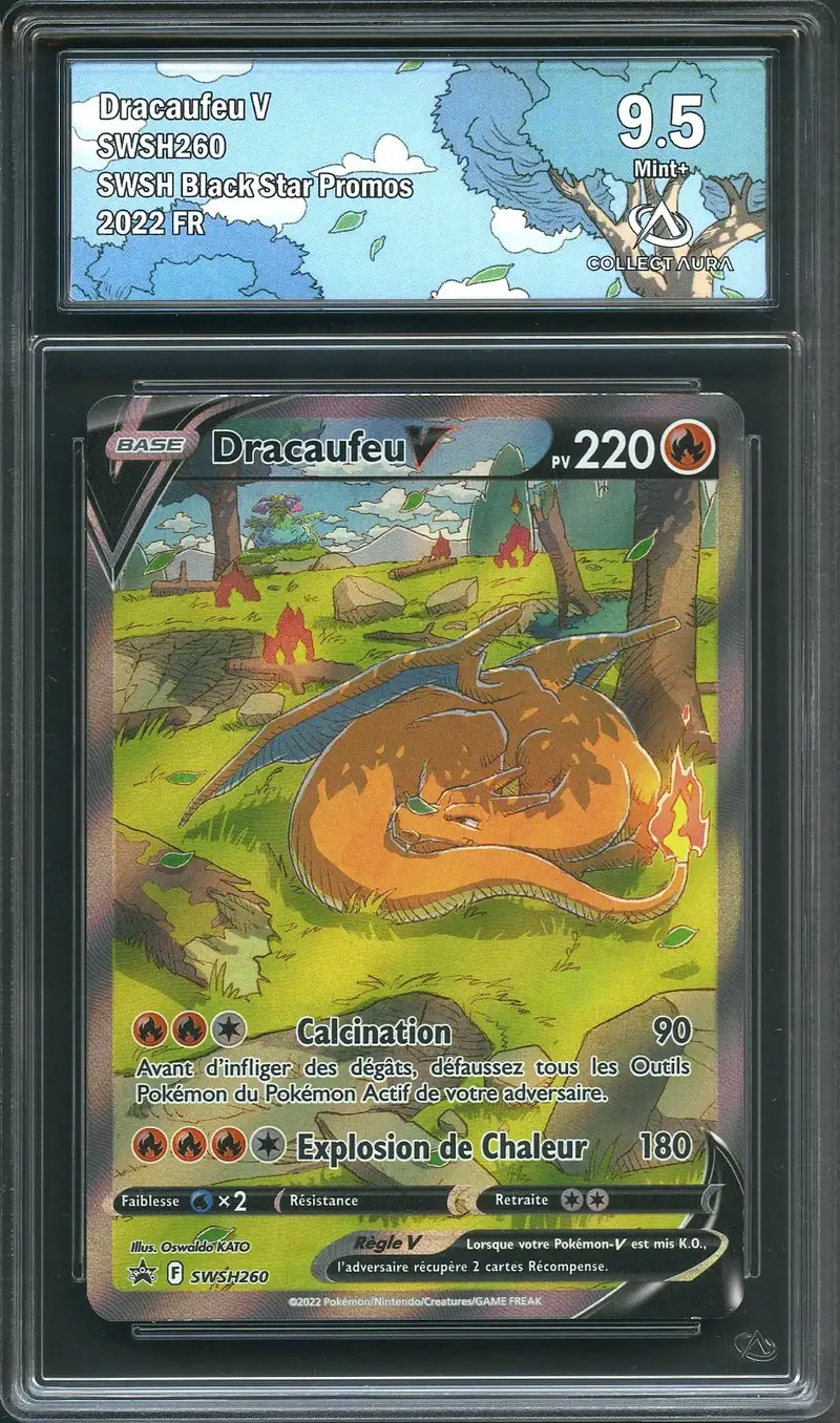 CA 9.5 Dracaufeu V