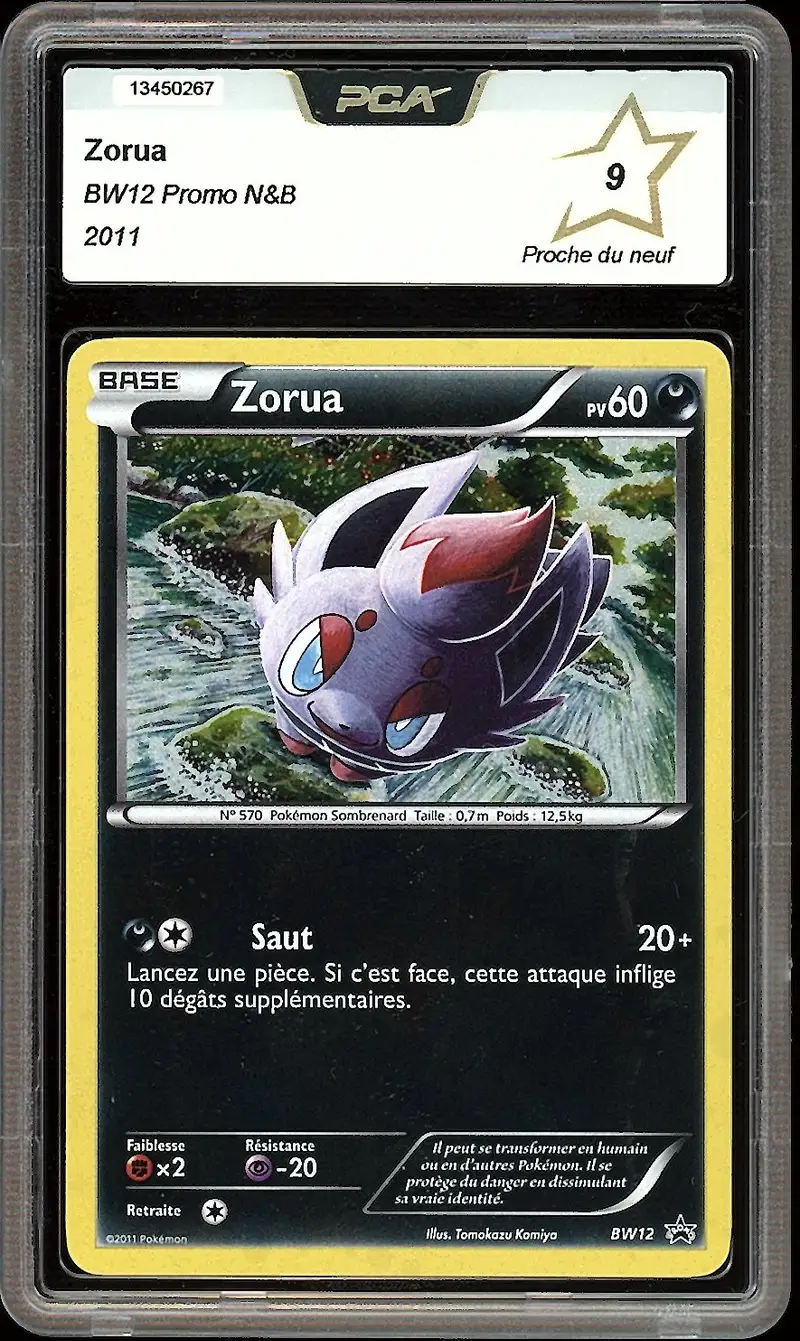 PCA 9 Zorua Holo