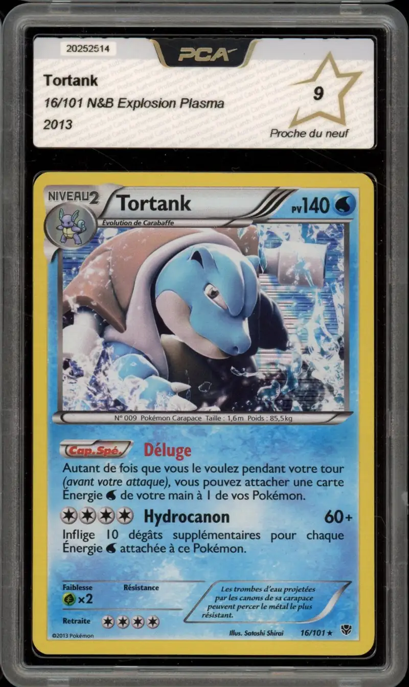 PCA 9 Tortank Holo