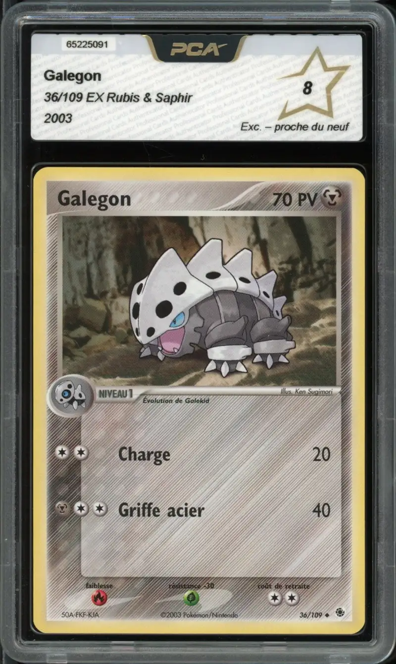 PCA 8 Galegon