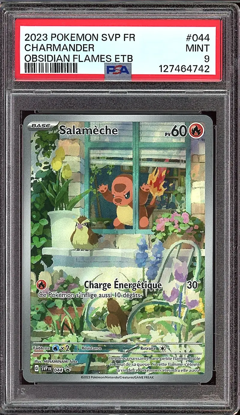 PSA 9 Salamèche