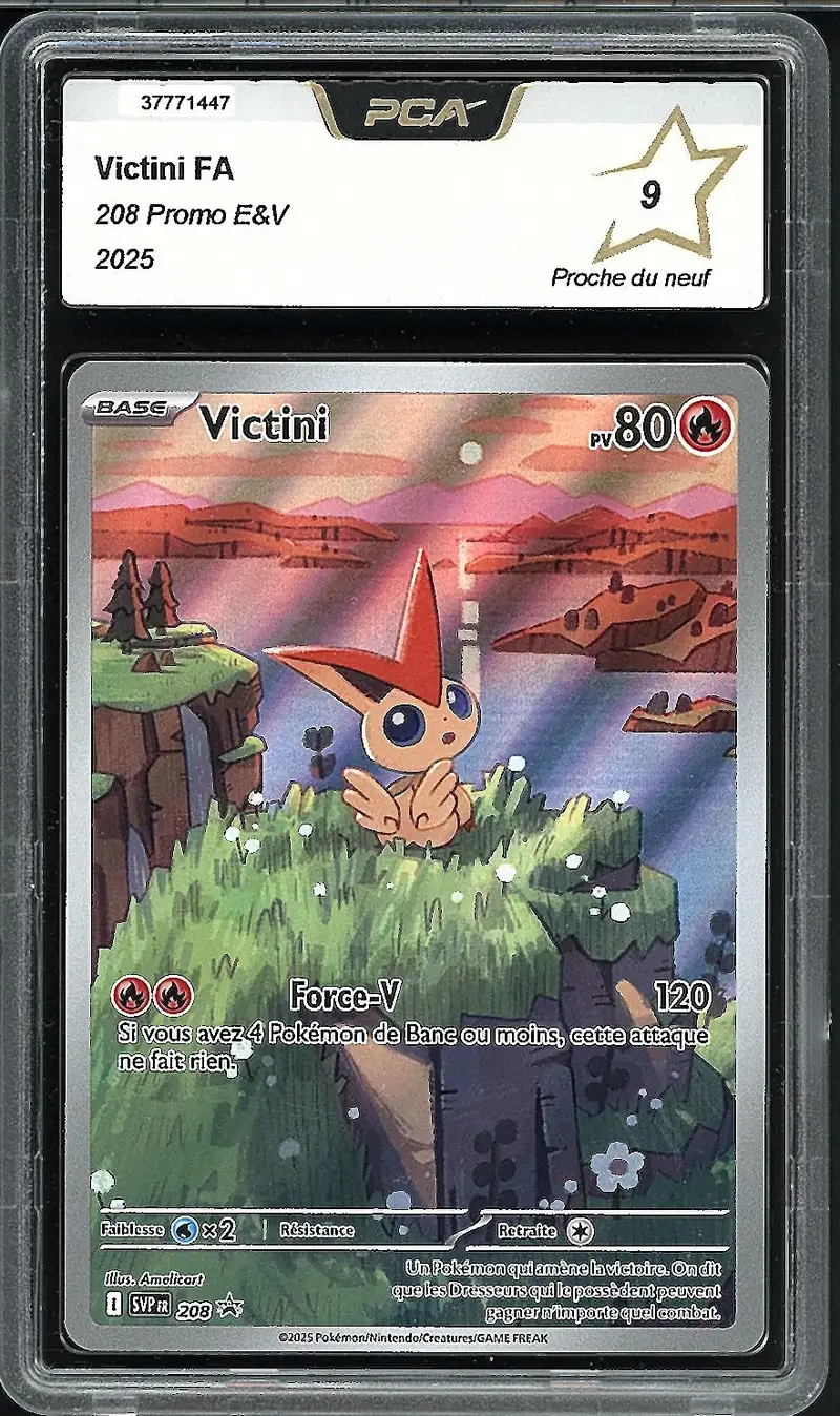 PCA 9 Victini