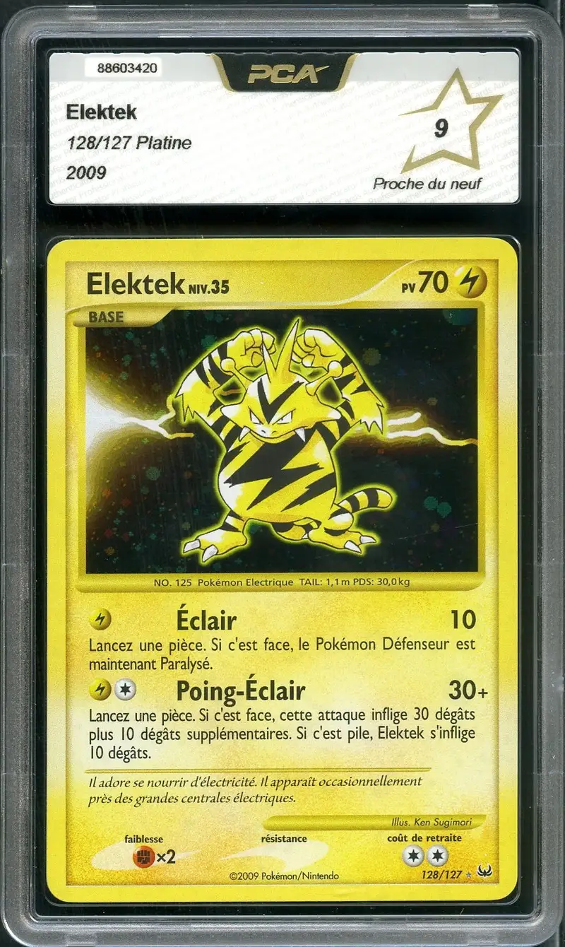 PCA 9 Elektek Holo